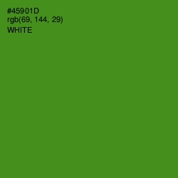 #45901D - Vida Loca Color Image