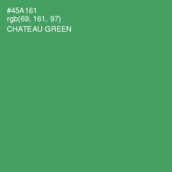 #45A161 - Chateau Green Color Image