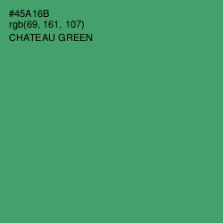 #45A16B - Chateau Green Color Image