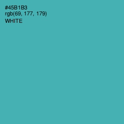 #45B1B3 - Fountain Blue Color Image