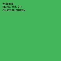 #45B55B - Chateau Green Color Image