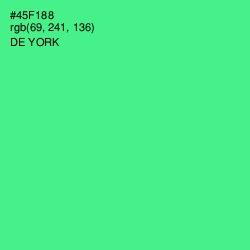 #45F188 - De York Color Image