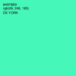 #45F8B9 - De York Color Image