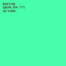 #45FEAB - De York Color Image