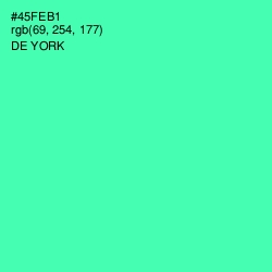 #45FEB1 - De York Color Image