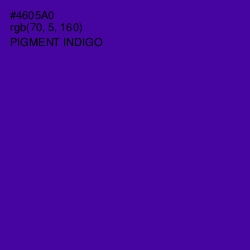 #4605A0 - Pigment Indigo Color Image
