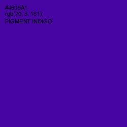 #4605A1 - Pigment Indigo Color Image