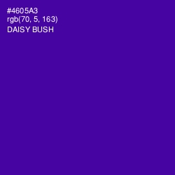 #4605A3 - Daisy Bush Color Image