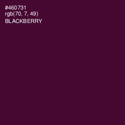 #460731 - Blackberry Color Image