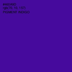 #460A9D - Pigment Indigo Color Image