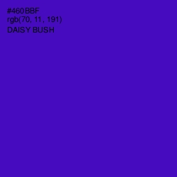 #460BBF - Daisy Bush Color Image