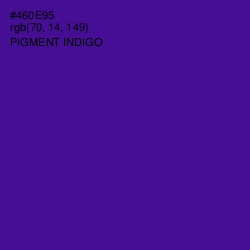 #460E95 - Pigment Indigo Color Image