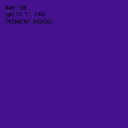 #46118E - Pigment Indigo Color Image