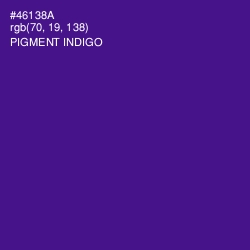 #46138A - Pigment Indigo Color Image