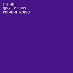 #461484 - Pigment Indigo Color Image