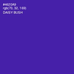 #4620A9 - Daisy Bush Color Image