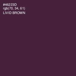 #46223D - Livid Brown Color Image