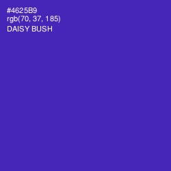 #4625B9 - Daisy Bush Color Image