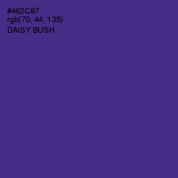#462C87 - Daisy Bush Color Image