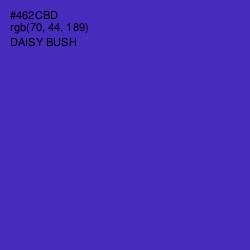 #462CBD - Daisy Bush Color Image