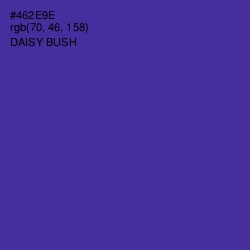 #462E9E - Daisy Bush Color Image