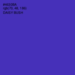#4630BA - Daisy Bush Color Image