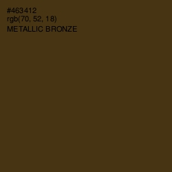 #463412 - Metallic Bronze Color Image