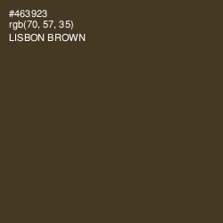 #463923 - Lisbon Brown Color Image