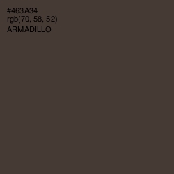 #463A34 - Armadillo Color Image