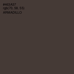 #463A37 - Armadillo Color Image