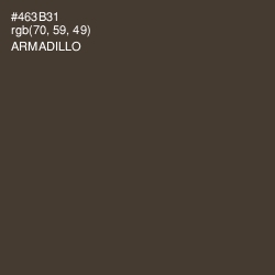 #463B31 - Armadillo Color Image