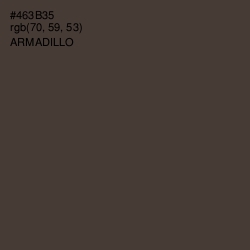 #463B35 - Armadillo Color Image