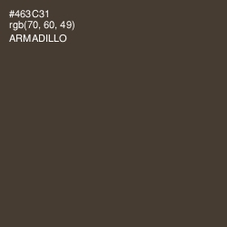 #463C31 - Armadillo Color Image