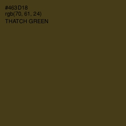 #463D18 - Thatch Green Color Image