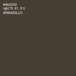 #463D33 - Armadillo Color Image