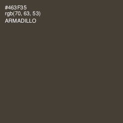 #463F35 - Armadillo Color Image