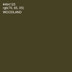 #464123 - Woodland Color Image