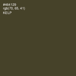#464129 - Kelp Color Image