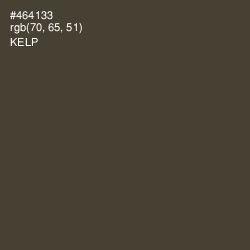 #464133 - Kelp Color Image