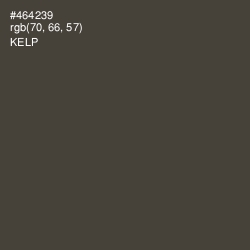 #464239 - Kelp Color Image