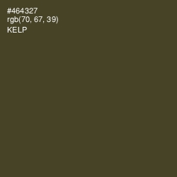 #464327 - Kelp Color Image