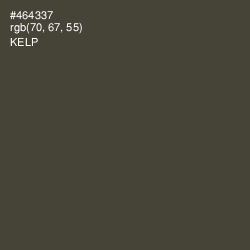 #464337 - Kelp Color Image