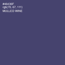 #46436F - Mulled Wine Color Image