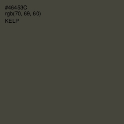 #46453C - Kelp Color Image