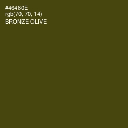 #46460E - Bronze Olive Color Image