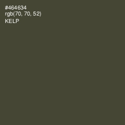 #464634 - Kelp Color Image