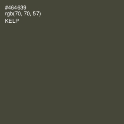 #464639 - Kelp Color Image