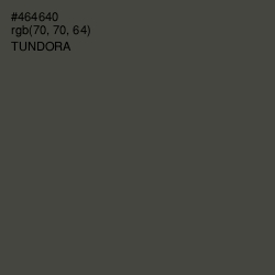 #464640 - Tundora Color Image