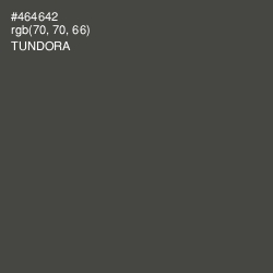 #464642 - Tundora Color Image