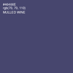 #46466E - Mulled Wine Color Image